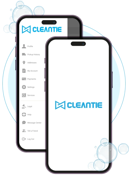 cleantie